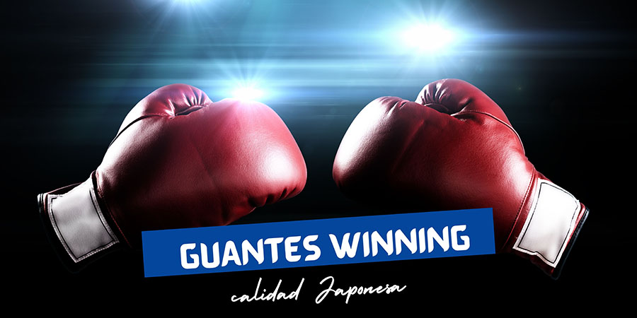 guantes boxeo winning