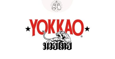 guantes de boxeo Yokkao
