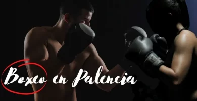 boxeo palencia