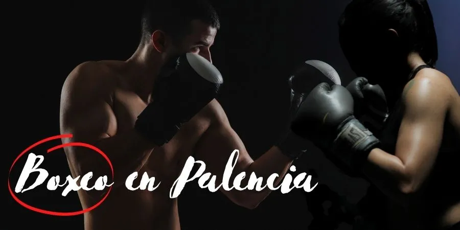 boxeo palencia