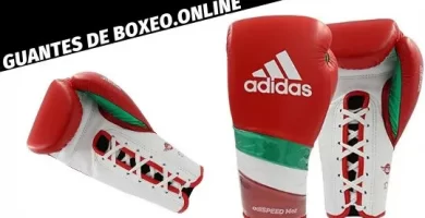 guantes de boxeo winnig adidas