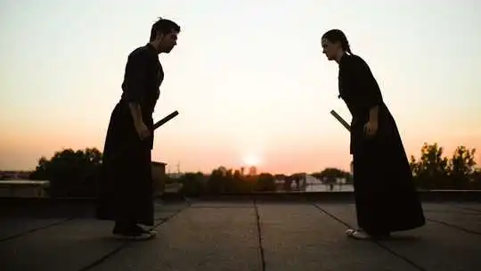 tipos de artes marciales japonesas