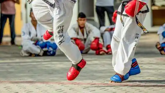 Zapatillas taekwondo